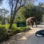 Photo taken by Mary R