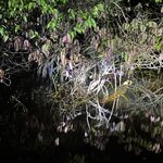 Photo taken by Emily H