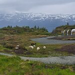 Photo taken by ruben k