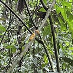 Photo taken by Chakrapani S