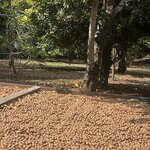 Photo taken by Judy S