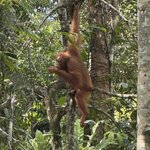 Photo taken by Edit M