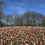 Photo taken by Jennifer D