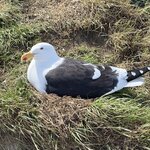 Photo taken by Marcia R