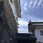 Photo taken by Reynaldo M