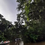 Lagoons of Tortuguero | Photo taken by Kathy H