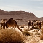 Photo taken by Leah H