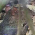 Photo taken by Mary D