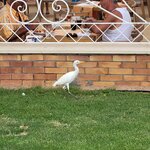 Photo taken by Kim M