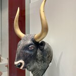 Photo taken by Joyce K