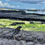 Photo taken by Katarzyna W