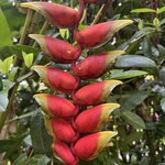 Photo taken by Mariah C