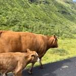 Photo taken by Cindi H