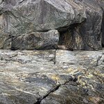 Photo taken by Iris W