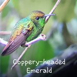 Photo taken by Susan D