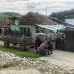 Photo taken by Rob S