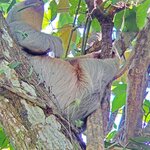 Photo taken by Garritt V