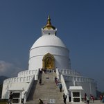 Photo taken by Arpita D