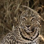 Photo taken by Joaquin M