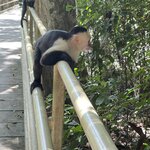 Photo taken by Blair H