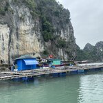 Photo taken by Mike D