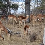 Photo taken by rafiq m