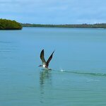 Photo taken by Katherine A