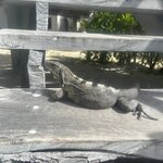 Photo taken by Imogen E