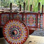 Photo taken by Joyce C