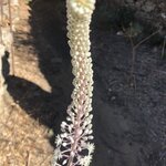 Photo taken by Lori H