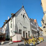 Photo taken by Arundhati G