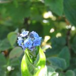 Photo taken by Kristin M