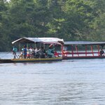 Photo taken by Mark B