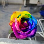 Photo taken by Jayme B