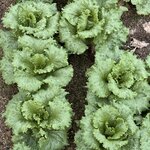 Photo taken by Ben B