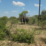 Photo taken by Yin Ling K