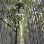 Photo taken by John P