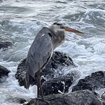 Photo taken by Thomas R