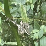 Photo taken by Alexia M