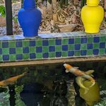 Photo taken by John P