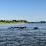 Photo taken by Christopher F