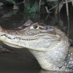 Photo taken by Alex V