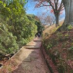 Photo taken by Zulhelmi R