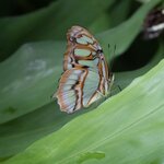 Photo taken by Wilbert A