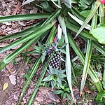 Photo taken by Ayca A