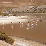 Photo taken by Jananee J