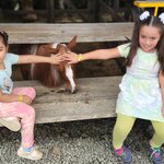 Photo taken by Melissa C