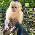 Photo taken by KLAUS A