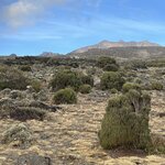 Photo taken by Michael L