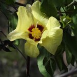 Photo taken by Patricia D